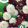 Fröer Praktvädd Mix>Nelson Garden Discount