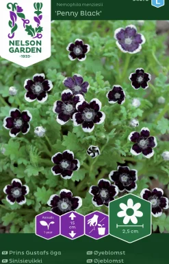 Fröer Prins Gustafs Öga Penny Black>Nelson Garden Outlet
