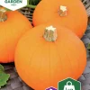Fröer Pumpa Baby Bear Mini>Nelson Garden Online