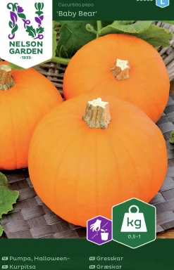 Fröer Pumpa Baby Bear Mini>Nelson Garden Online