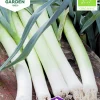Fröer Purjolök Herbstriesen 2 Organic>Nelson Garden Discount