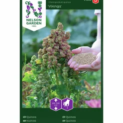 Fröer Quinoa Vikinga>Nelson Garden Best
