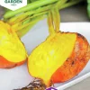 Fröer Rödbeta Burpees Golden>Nelson Garden Discount