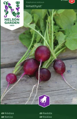Fröer Rädisa Amethyst>Nelson Garden