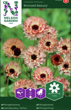 Fröer Ringblomma Bronzed Beauty>Nelson Garden Online