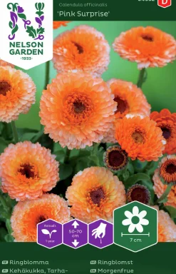 Fröer Ringblomma Pink Surprise>Nelson Garden Hot
