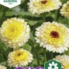 Fröer Ringblomma Ivory Princess>Nelson Garden Outlet