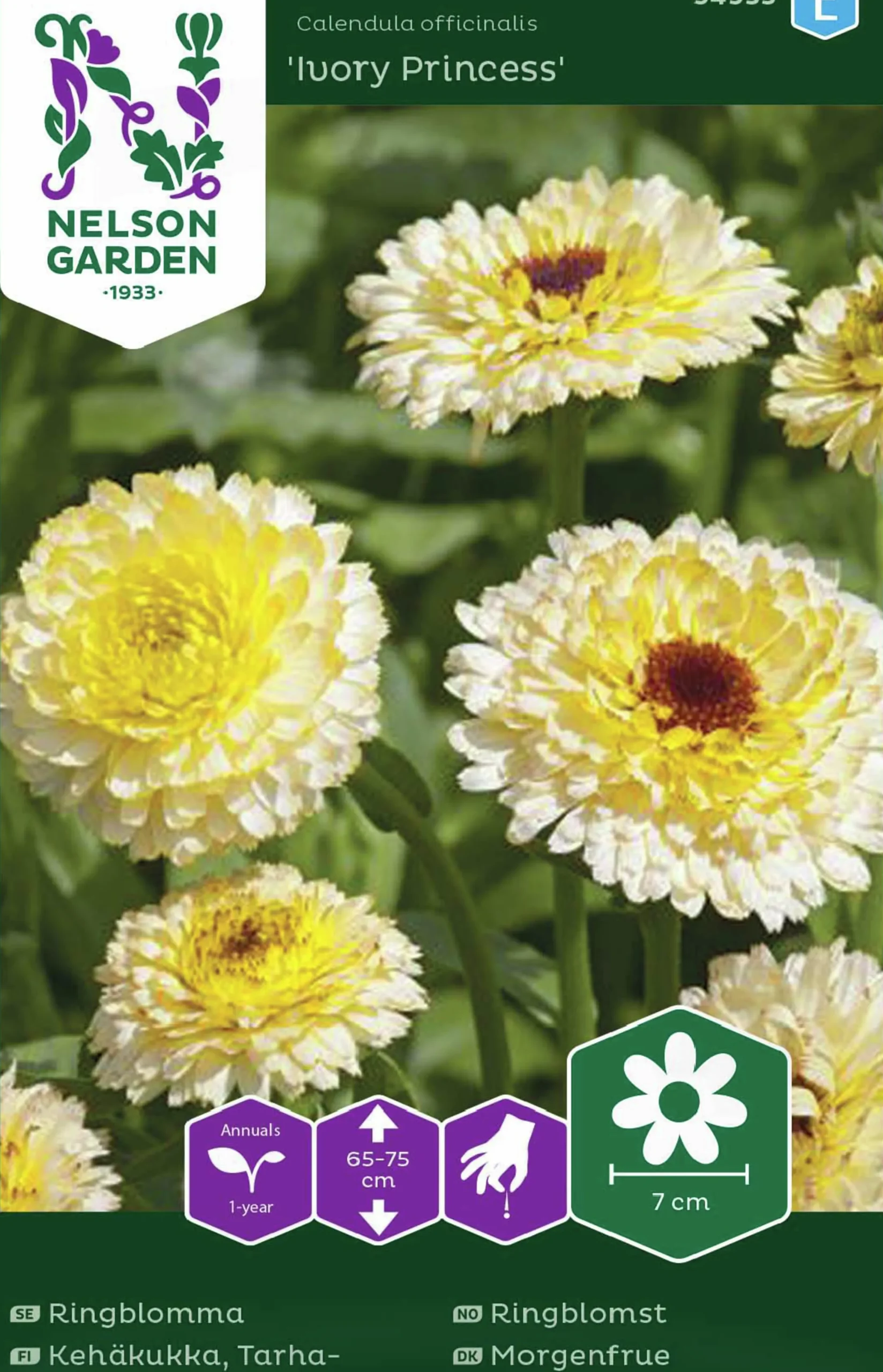 Fröer Ringblomma Ivory Princess>Nelson Garden Outlet