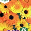 Fröer Ringblomma Daisy Citrus Mix Låg>Nelson Garden Outlet