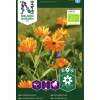 Fröer Ringblomma Mix färg Organic>Nelson Garden Hot