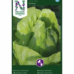 Fröer Romersk sallat Globus>Nelson Garden Discount