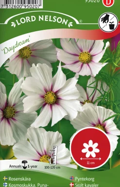 Fröer Rosenskära Daydream>Nelson Garden Hot