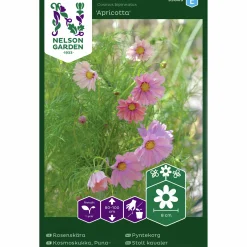 Fröer Rosenskära Apricotta>Nelson Garden Sale