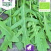 Fröer Ruccola Sandsenap Organic>Nelson Garden Best