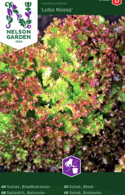Fröer Sallat Bladbatavia Lollo Rossa>Nelson Garden Best