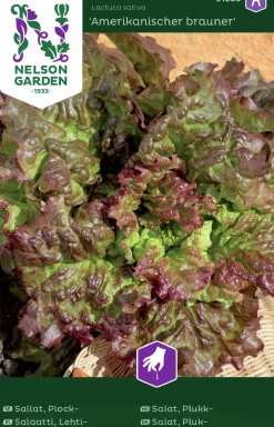 Fröer Sallat Plock- Amerikanischer Brauner>Nelson Garden Hot