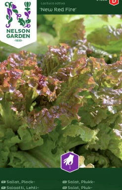 Fröer Sallat Plock- New Red Fire>Nelson Garden New