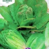 Fröer Sallat Romersk Lobjoits Green Cos>Nelson Garden
