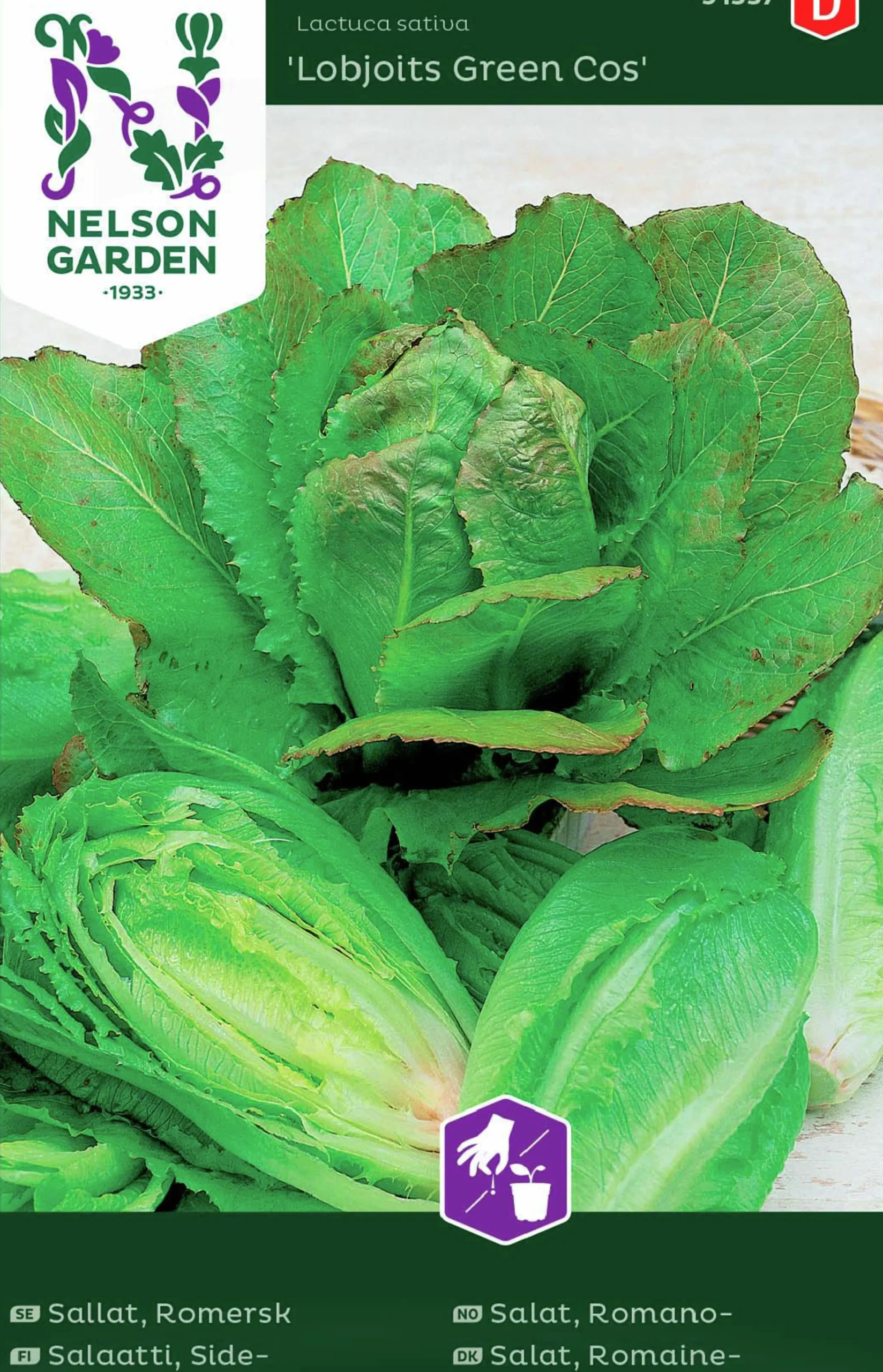 Fröer Sallat Romersk Lobjoits Green Cos>Nelson Garden