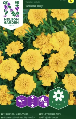 Fröer Sammetstagetes Yellow Boy>Nelson Garden Clearance