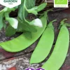 Fröer Sockerärt Norli Låg Organic>Nelson Garden New