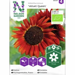 Fröer Solros Velvet Queen Organic>Nelson Garden Best