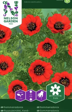 Fröer Sommaradonis Röd>Nelson Garden New