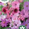 Fröer Sommarblommor Mix Rosa>Nelson Garden Outlet