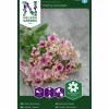 Fröer Sommarflox Cherry Caramel>Nelson Garden Clearance