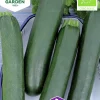 Fröer Squash Black Beauty Organic>Nelson Garden Clearance