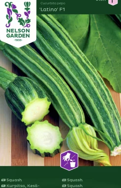 Fröer Squash Latino F1>Nelson Garden New