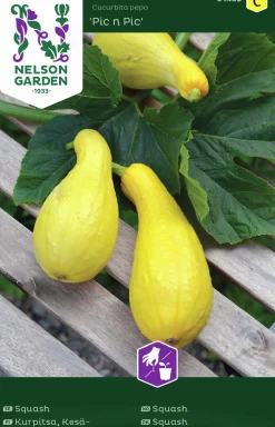 Fröer Squash Pic n Pic Gul>Nelson Garden Hot