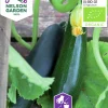 Fröer Squash/Sommarpumpa Black Beauty Organic>Nelson Garden Clearance