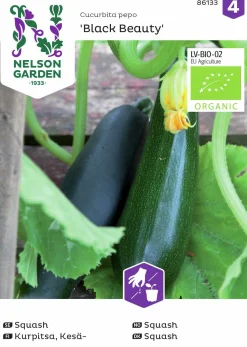 Fröer Squash/Sommarpumpa Black Beauty Organic>Nelson Garden Clearance
