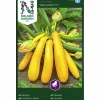 Fröer Squash Yellowstar F1>Nelson Garden