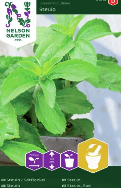 Fröer Sötflockel/Stevia>Nelson Garden