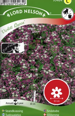 Fröer Strandkrassing Violett Queen>Nelson Garden New