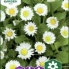 Fröer Tusensköna Meadow Daisy Vit>Nelson Garden Outlet