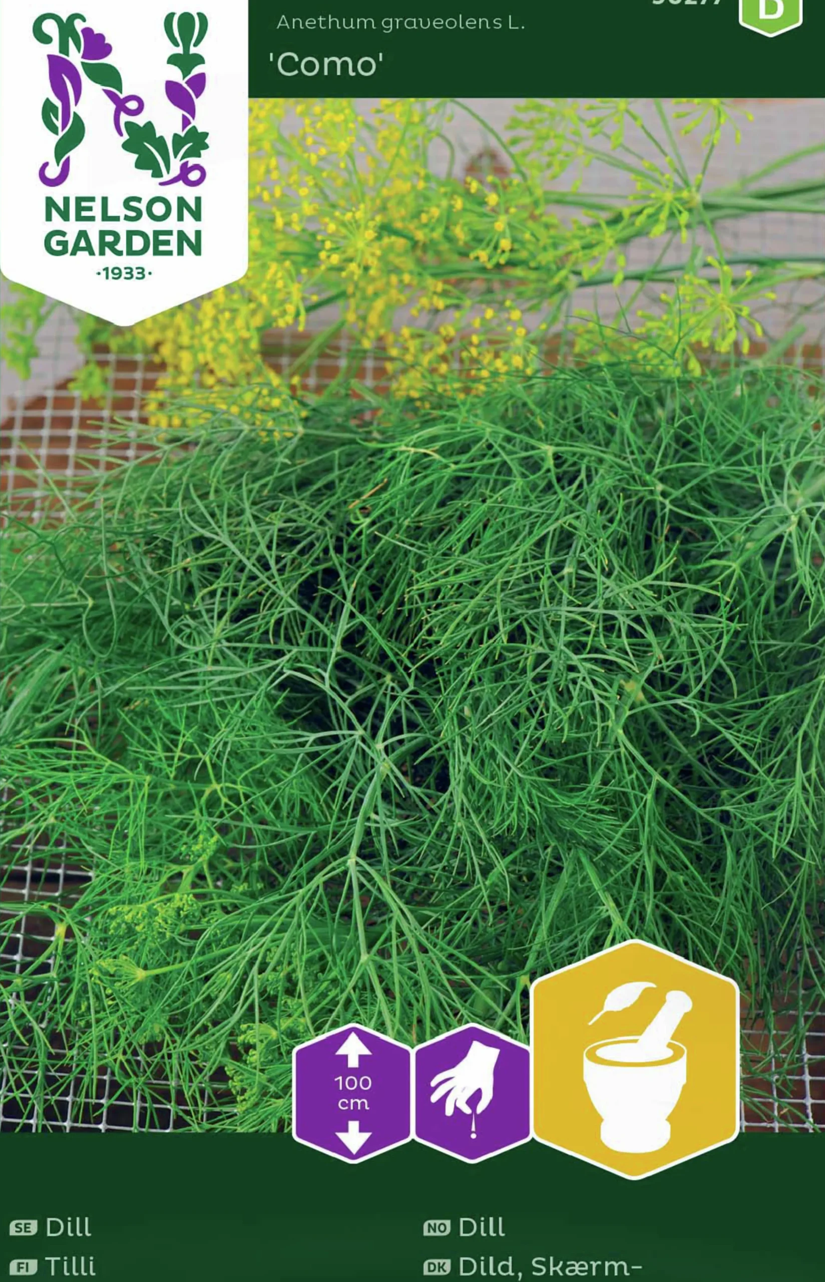 Fröer Vanlig Dill Como>Nelson Garden