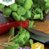 Fröer Vattenkrasse>Nelson Garden Online