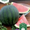 Fröer Vattenmelon Sugar Baby>Nelson Garden Best