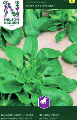 Fröer Vintersallat Mache Vert>Nelson Garden Hot