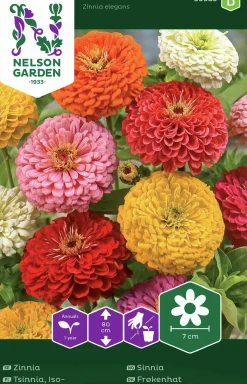 Fröer Zinnia Hög Blandade färger>Nelson Garden New