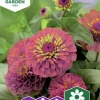 Fröer Zinnia Sunbow Purple>Nelson Garden New