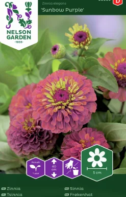 Fröer Zinnia Sunbow Purple>Nelson Garden New