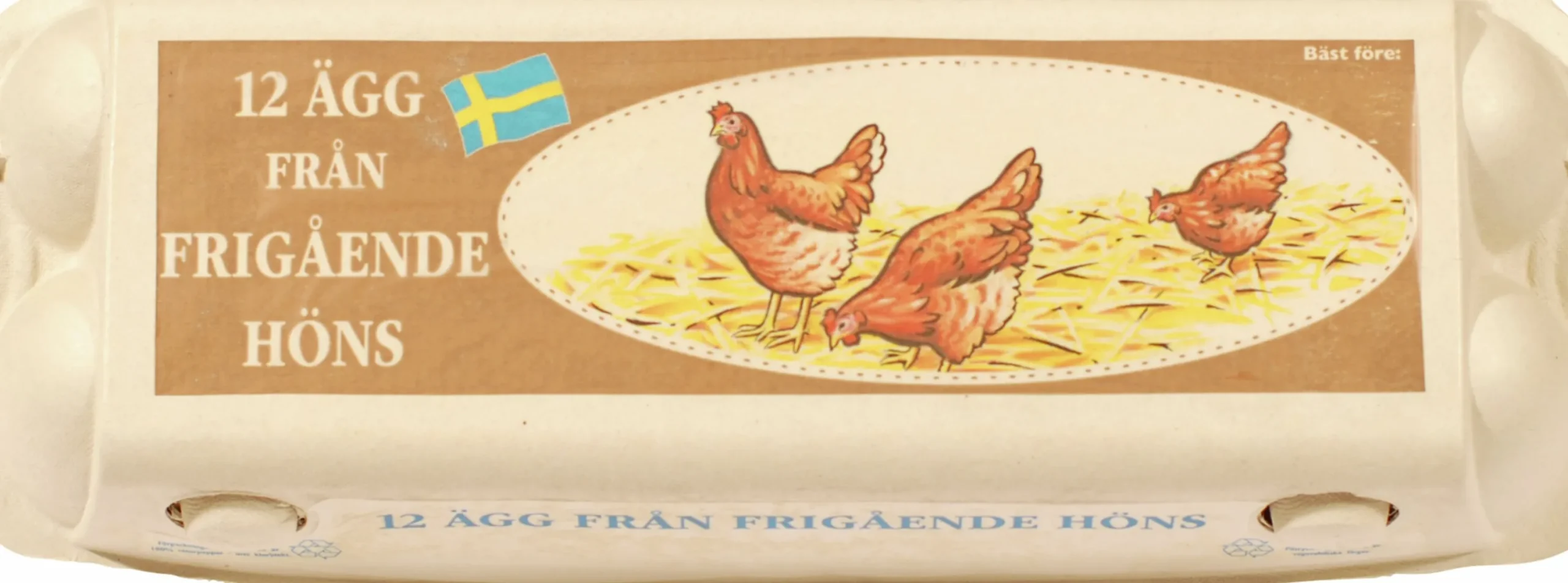 Äggkartong Frigående höns för 12 ägg 56-p>Hartmann Brödrene Outlet