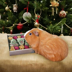 Gnagargodis Jul Festive Cookies 170g>Rosewood Outlet