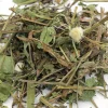 Gnagargodis Dandelion Delight 100g>Rosewood New