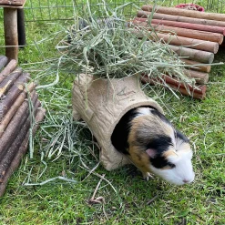 Gnagarleksak Edible Play Log XL><noscript><img width=
