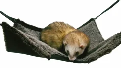 Gnagarleksak 2-in-1 Hanging Tunnel & Hammock Grå>Rosewood New